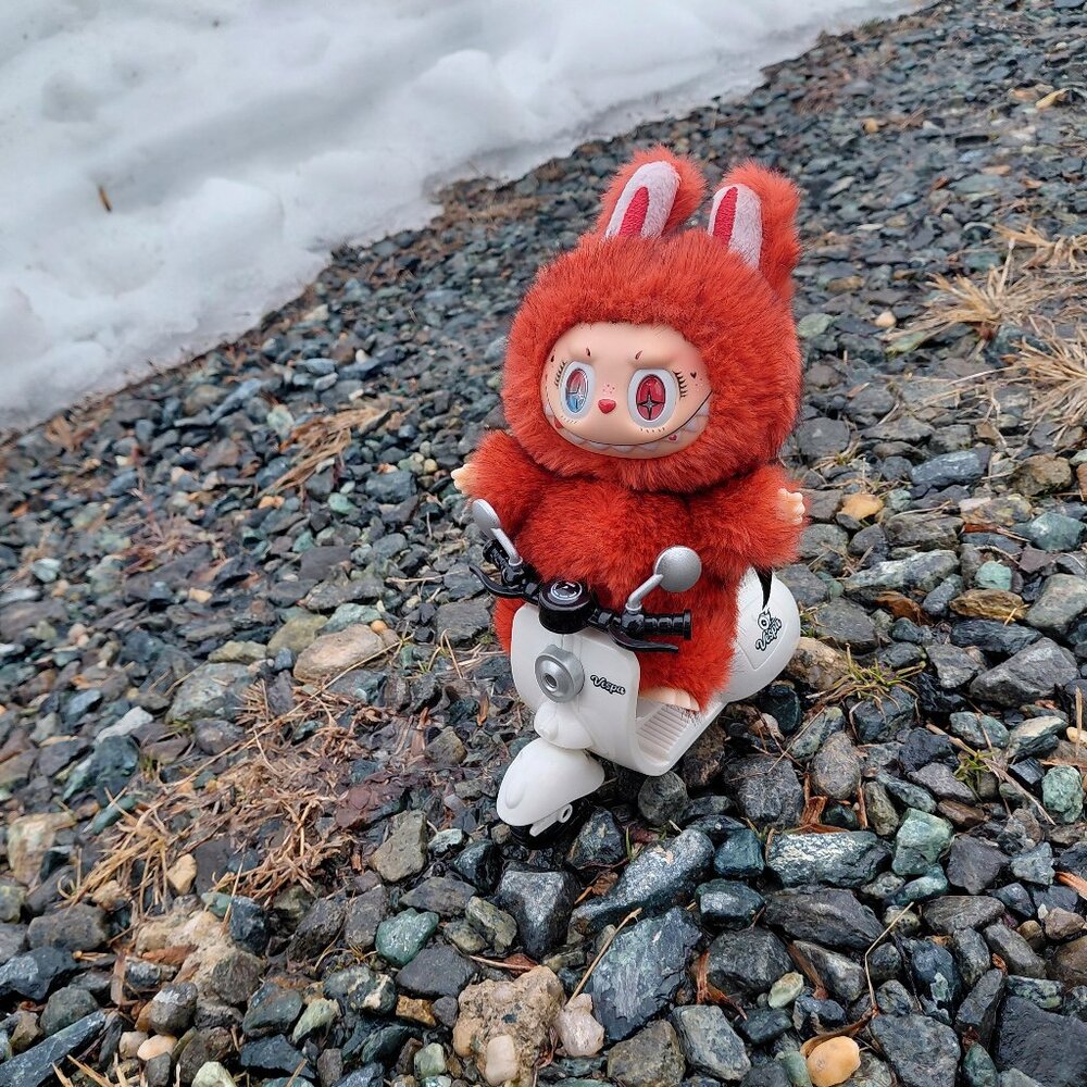 Meet your Posher, Posh